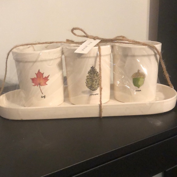 Rae Dunn Other - NWT Rae Dunn Autumn Planters with Tray